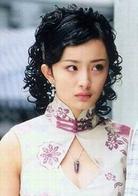 紅粉世家[2004年李大為執導電視劇]