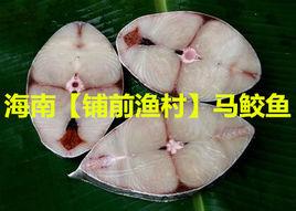 海南鋪前漁村馬鮫魚 海南鋪前漁村馬鮫魚