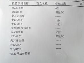溶血檢查 溶血檢查