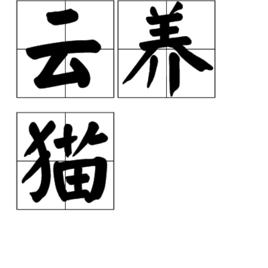 雲養貓[漢語詞語]