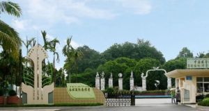 西雙版納南藥園 西雙版納南藥園