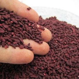 古田紅曲 古田紅曲