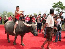 梅源梯田開犁節 梅源梯田開犁節