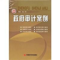政府審計案例