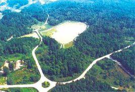 天鵝湖森林公園 天鵝湖森林公園