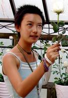 好奇害死貓[電影]