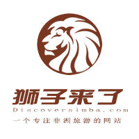 獅子來了 獅子來了