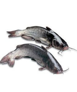 梭邊魚