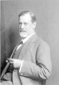 死亡本能[一種要摧毀秩序、回到前生命狀態的衝動]