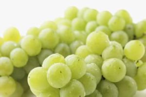 麝香[葡萄品種]