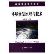 環境修復原理與技術 環境修復原理與技術