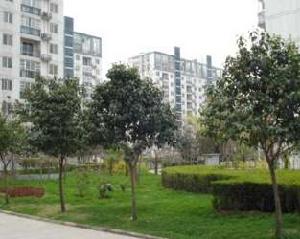 紫薇田園都市二期 紫薇田園都市二期