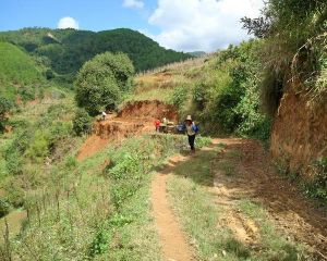 幫別下自然村 幫別下自然村