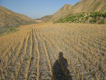 廣種薄收，是蘭州北部人民用汗水澆灌出來的