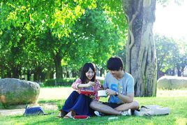 相愛大學 相愛大學