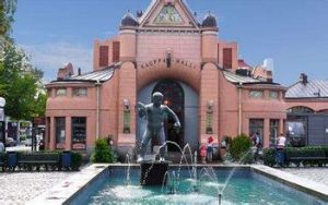 庫奧皮奧 庫奧皮奧