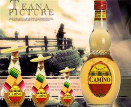 懶蟲龍舌蘭 懶蟲龍舌蘭