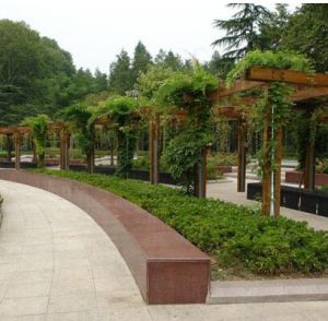 解放公園 解放公園