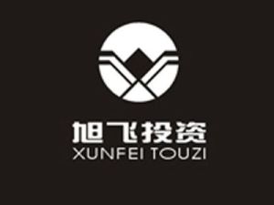 廈門旭飛投資股份有限公司 廈門旭飛投資股份有限公司