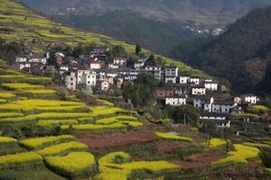 澤降古村 澤降古村