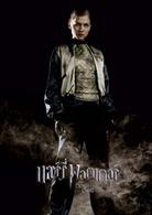 哈利&middot;波特與火焰杯[英美2005年邁克&middot;紐維執導電影]