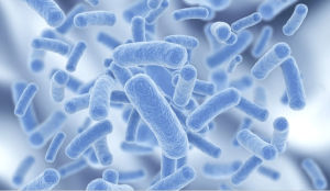 前驅糖尿病 前驅糖尿病