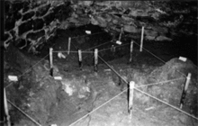 The Blair Witch Project