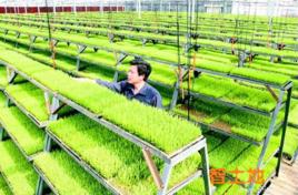 土地抵押權實現 土地抵押權實現