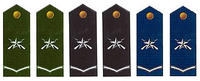 陸海空軍一級士官肩章(1999—2009)