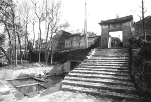 楓林鎮[永嘉縣]