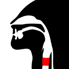 清聲門過渡音 清聲門過渡音