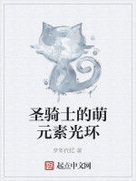 聖騎士的萌元素光環 聖騎士的萌元素光環