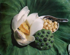 里葉白蓮 里葉白蓮