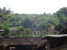 尹卡自然村 尹卡自然村