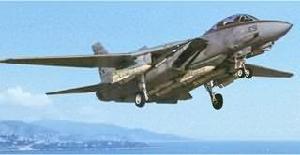 F-14“雄貓”(Tomcat) F-14“雄貓”(Tomcat)