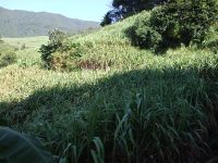 允捧大寨自然村 允捧大寨自然村