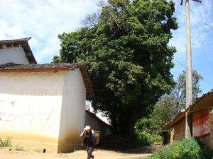 阿崩寨村 阿崩寨村