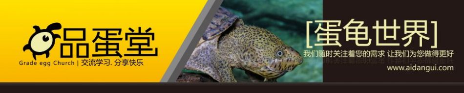 品蛋堂-蛋龜世界