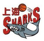 上海西洋隊 上海西洋隊