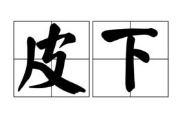 皮下[漢語詞語]