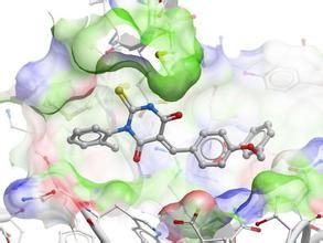 自身免疫 自身免疫
