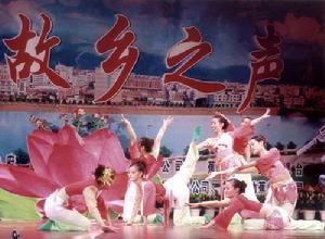 圖3 打蓮池（蓮池舞）表演