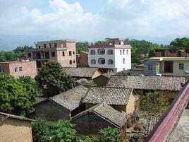 新合村[雲南省昆明雲龍鄉新合村委會]