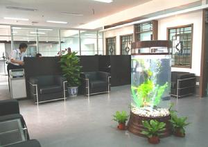 不成熟-成熟理論