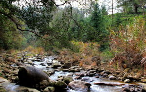 目連山省級森林公園 目連山省級森林公園