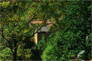 聚龍山蓮花洞 聚龍山蓮花洞