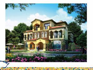 迪亞春天 迪亞春天