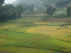 養馬場自然村 養馬場自然村