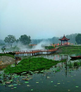 微山湖國家濕地公園[山東]