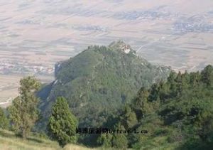 金粟山森林公園 金粟山森林公園